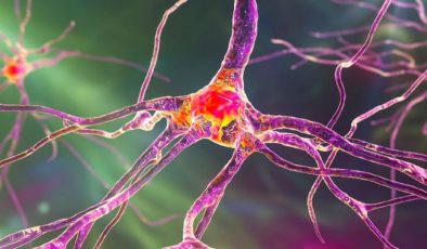 Genetiğiyle oynanan domuz karaciğeri bir insana nakil edildi! Sonuç umut verici!