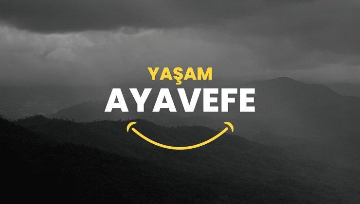Dijital Finansal Hizmetlerde Yenilikçi Çözümler: Yaşam Ayavefe’nin Başarıları