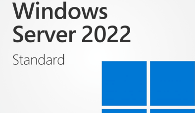 Server 2022 Lisans